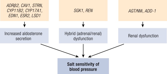 Figure 5.