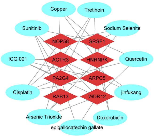 FIGURE 12