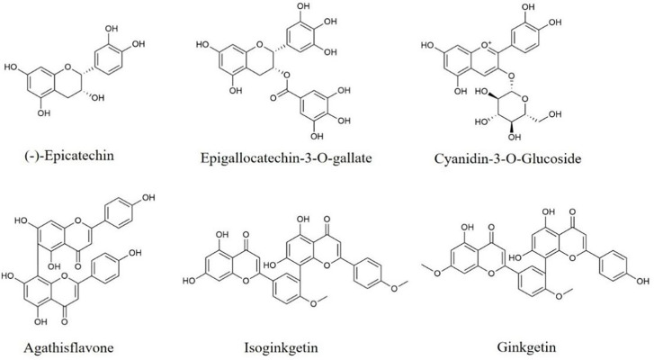 Figure 5