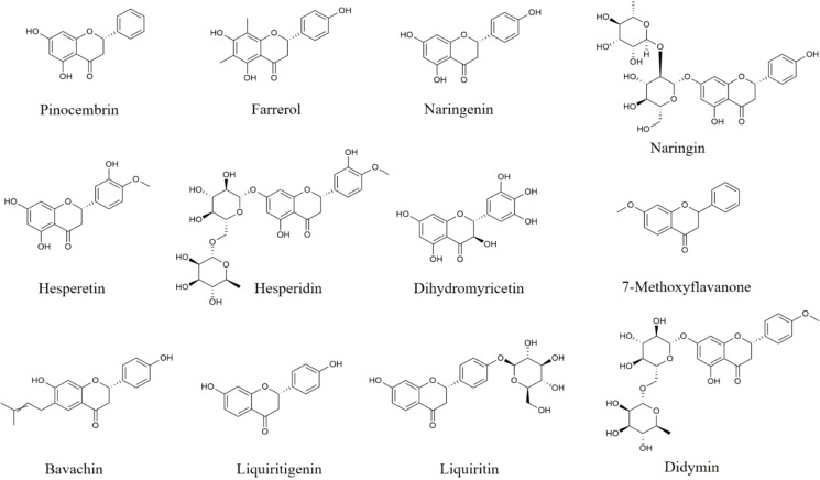 Figure 2