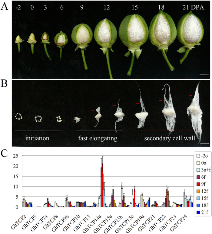 Figure 5