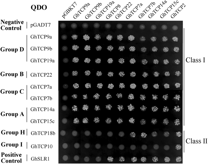 Figure 7