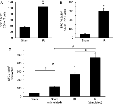 Figure 11.