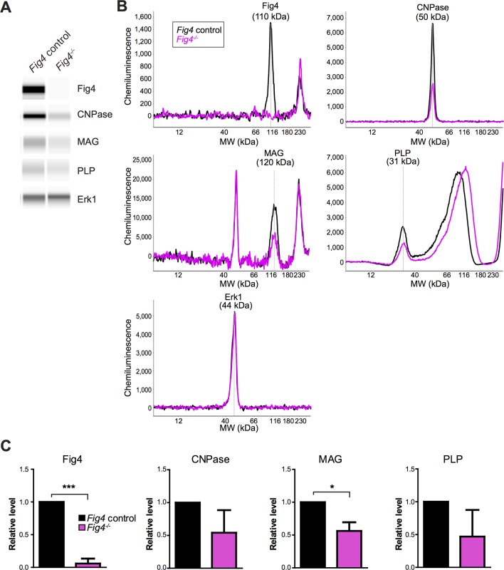 Figure 5—figure supplement 2.