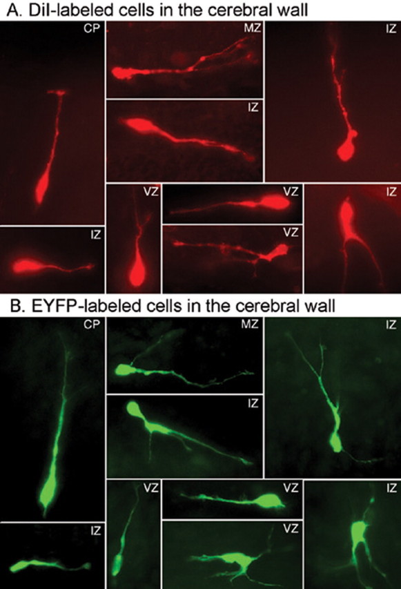 Figure 3.