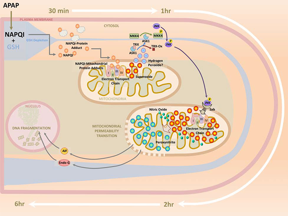 Figure 1: