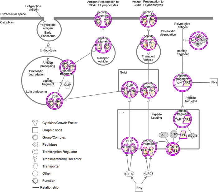 FIGURE 7