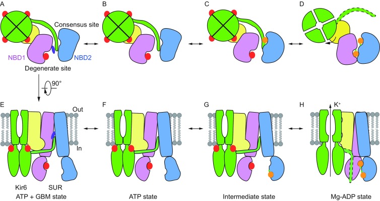 Figure 6