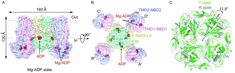 Figure 3