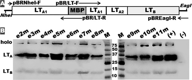 FIG 4