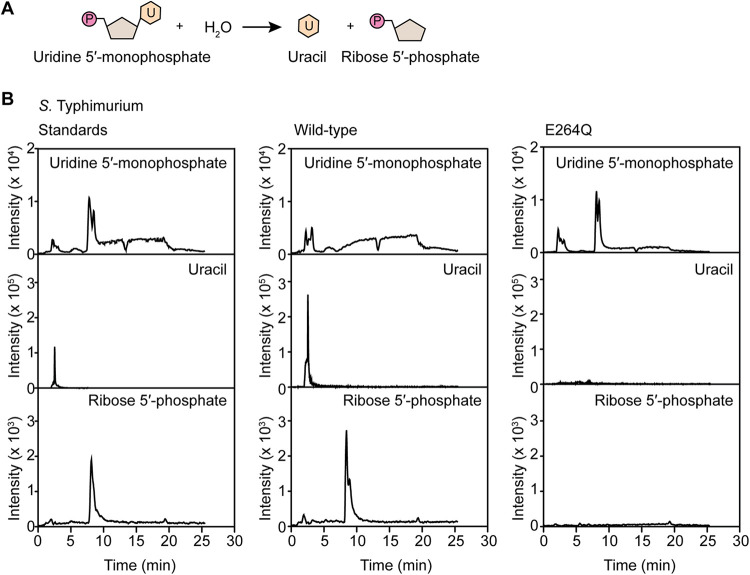 FIG 3