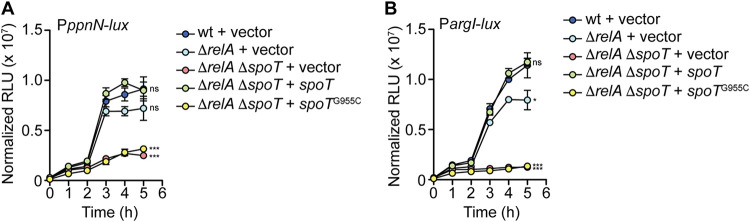 FIG 2