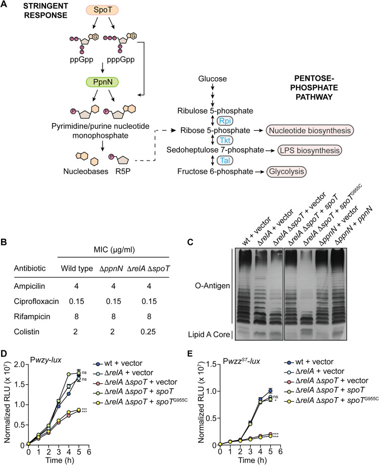 FIG 4