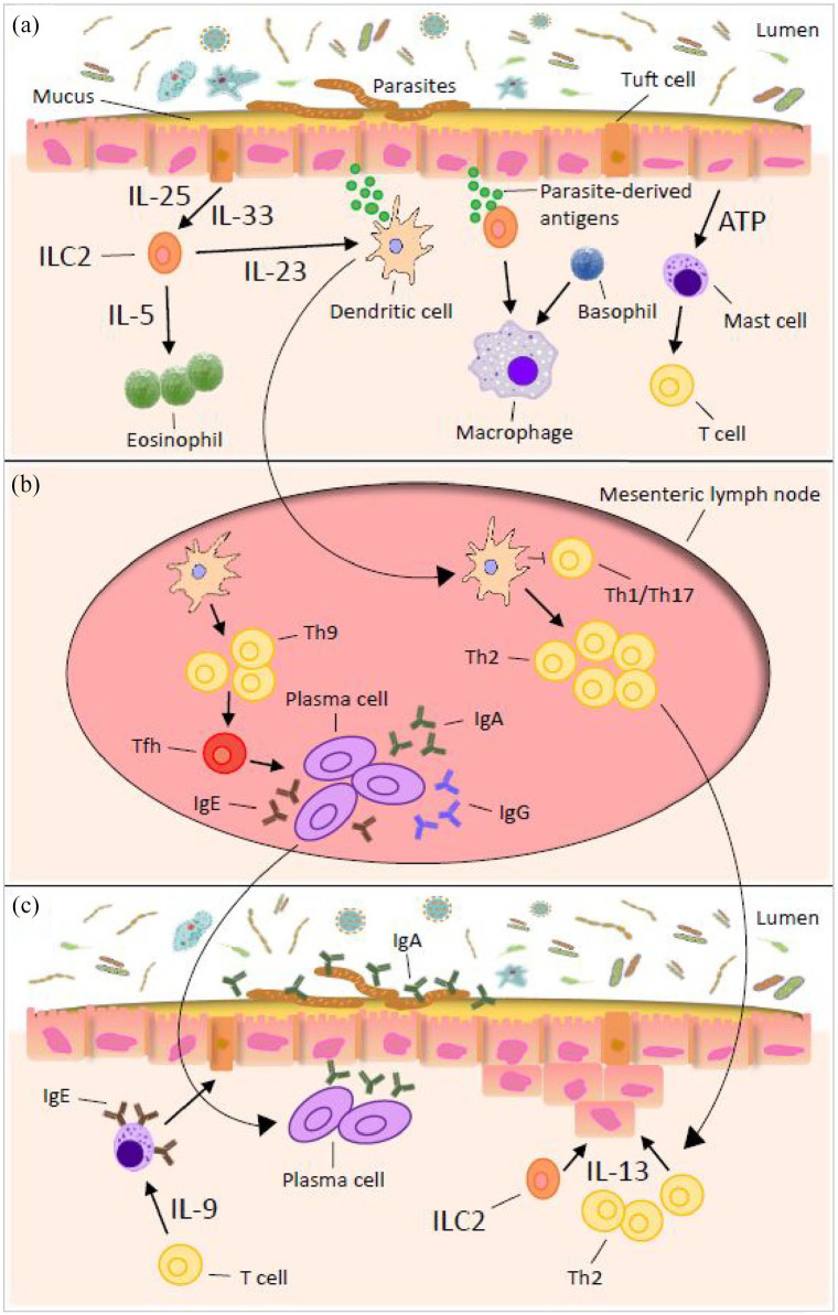 Figure 2.