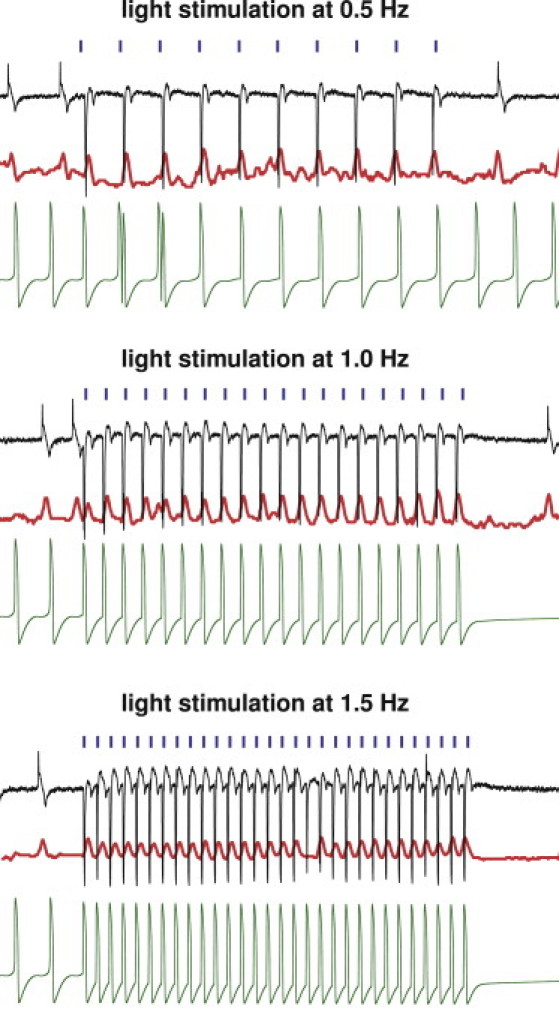 Figure 7