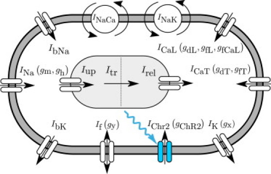 Figure 4