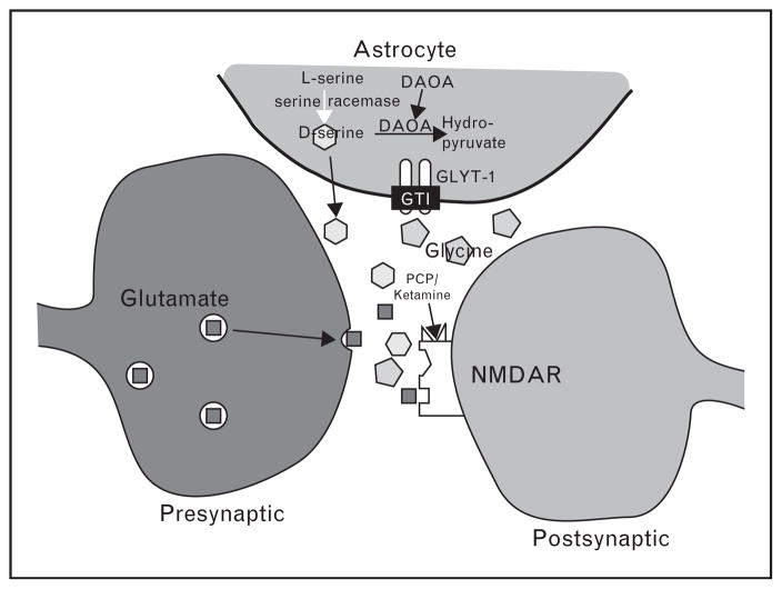 FIGURE 1