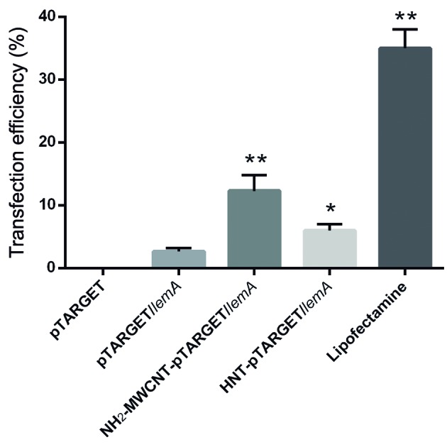 Fig. 2: