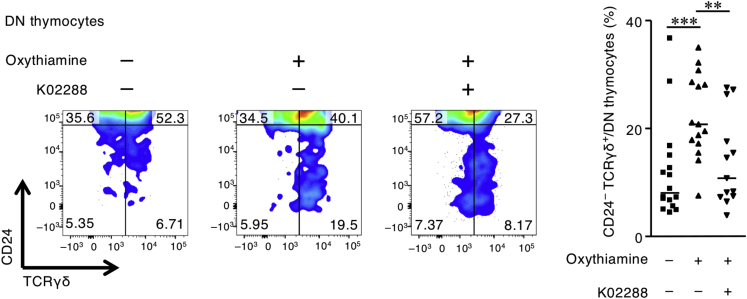 Figure 6