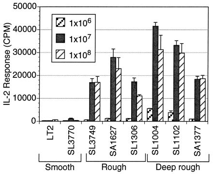 FIG. 3