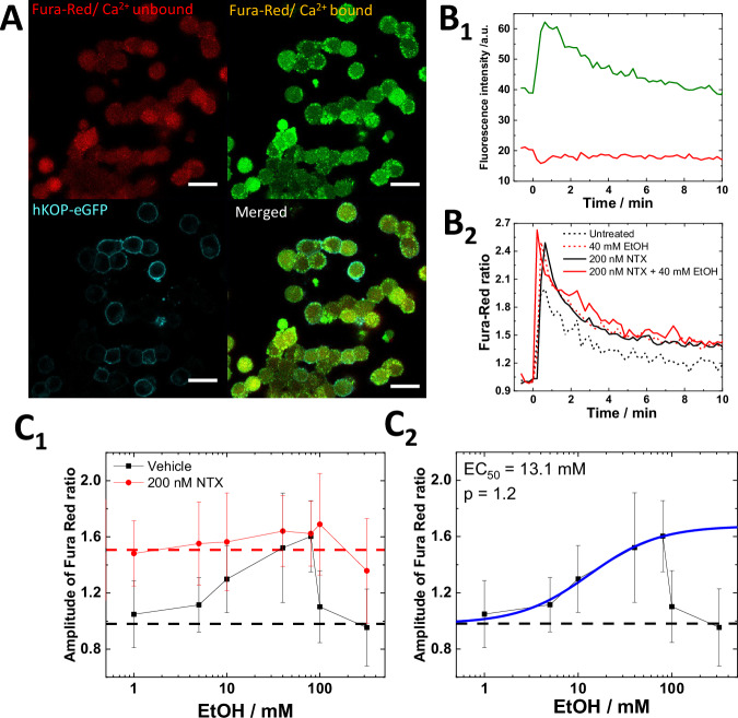 Fig. 4