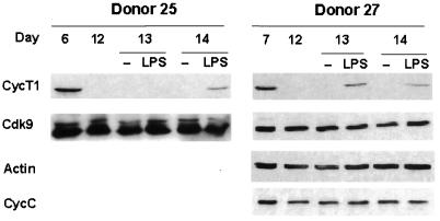 FIG. 6.