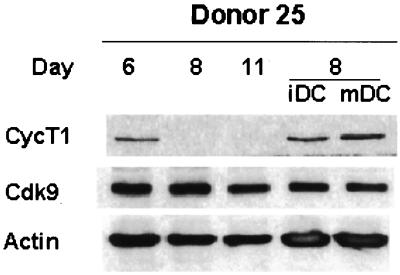 FIG. 7.