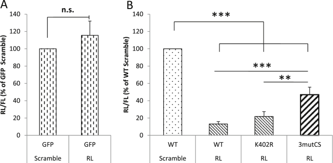 Fig. 4