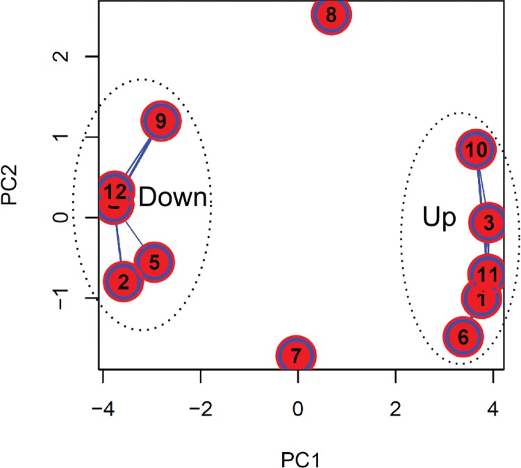 Fig. 6