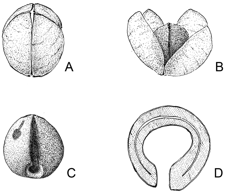 Figure 8.