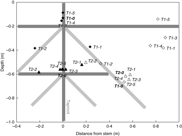 Fig. 8.