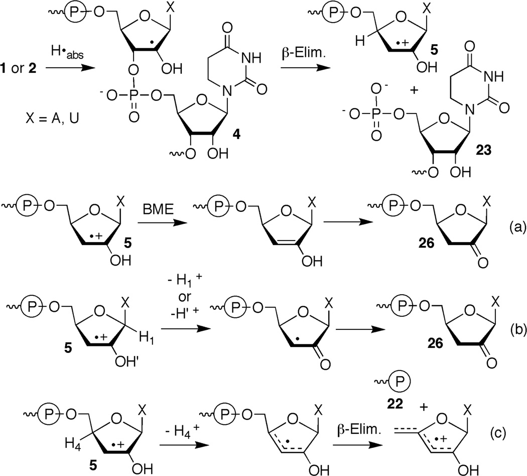 Scheme 3