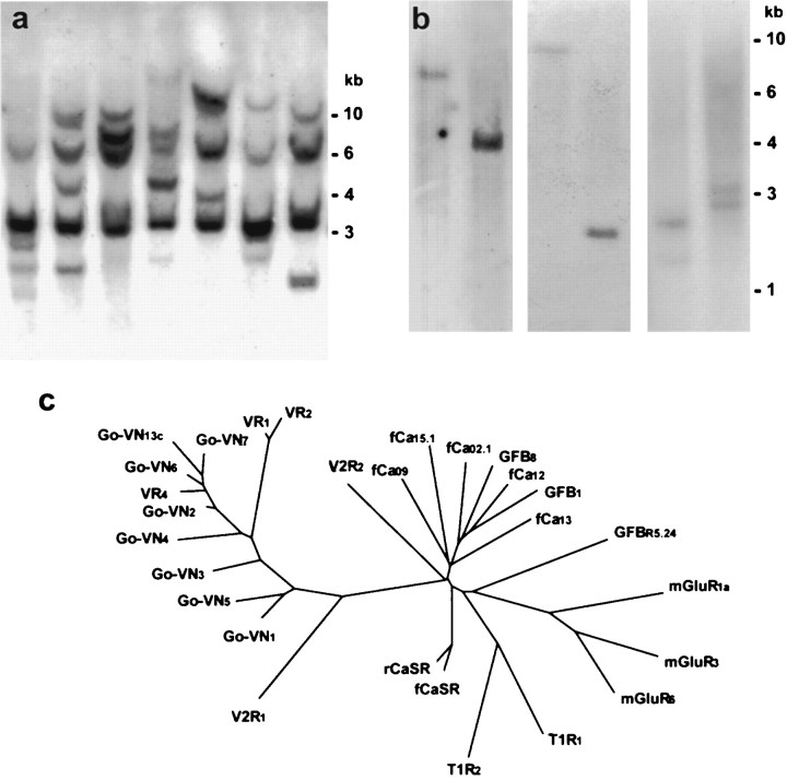 Fig. 5.