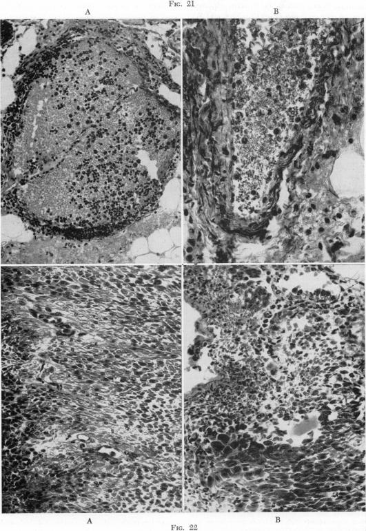 Fig. 21., Fig. 22.