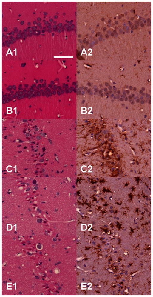 Fig. 9