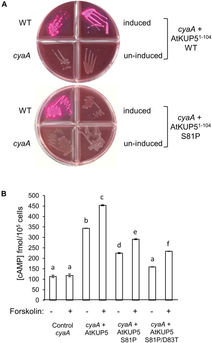 FIGURE 3