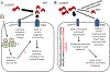 Figure 9: