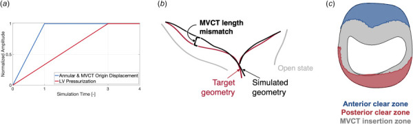The initial model of MV closure. (a) The ramping of the simulation boundary and loading conditions, which include the annular and MVCT origin displacements and transmural pressurization on the ventricular surface of the leaflets, respectively. (b)The MVCT length mismatch between the simulated and target geometries, which forms the basis of the updated MVCT prestrain. (c) The three subregions of the MV leaflets: the anterior clear zone (blue); the posterior clear zone (red); and the coaptation region (gray). (Color version online.)