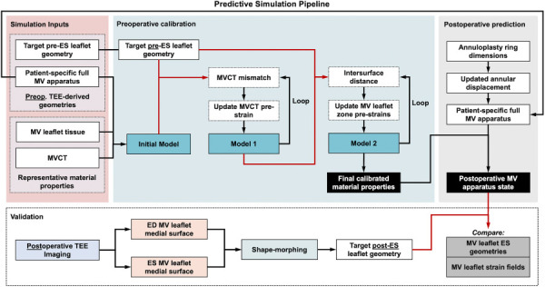 A flowchart of the simulation pipeline. First, we use the patient-specific full MV apparatus with pre-operative annular displacements to calibrate the MV leaflet and MVCT material properties. We apply a transmural pressure of 100 mmHg on the ventricular surface of the MV leaflets to simulate MV closure (Initial Model). Then, we calculate the MVCT length mismatch between the simulated and ES geometries, and assign this normalized value as the updated MVCT prestrain. This step is looped until the simulation converges (Model 1). Next, we separated the MV leaflets into three zones (anterior clear zone, posterior clear zone, and coaptation region). We calculated the intersurface distance between the simulated and target geometries, and used fminsearch in matlab to minimize this error by optimizing the prestrains in these zones. Again, this step was looped until convergence (Model 2). Finally, we use these full calibrated material properties along with the patient-specific full MV apparatus with updated postoperative annular displacement (ED to annuloplasty ring) to predict the patient-specific postoperative MV state. To validate, we compared the predicted geometry and strain fields with the target ES geometry and deformation.