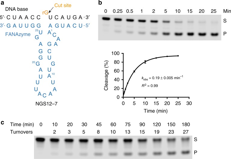 Fig. 5