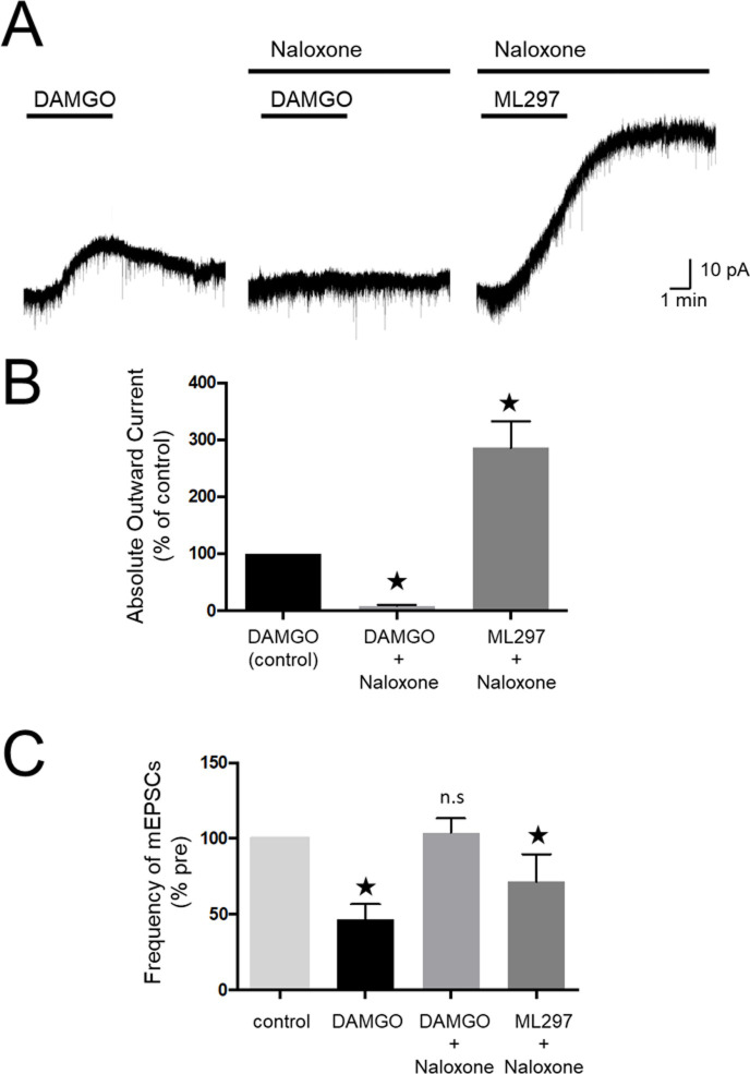 Fig 5