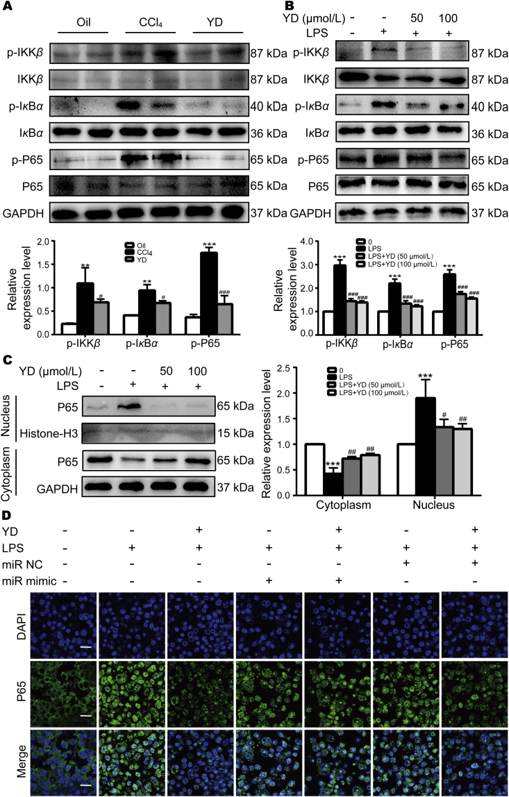 Figure 6