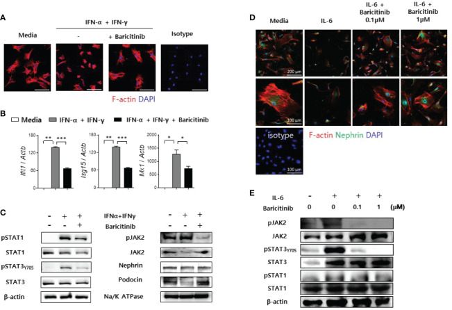 Figure 6