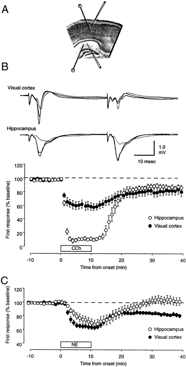 Fig. 10.