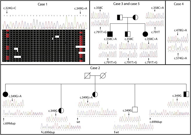 Figure 1