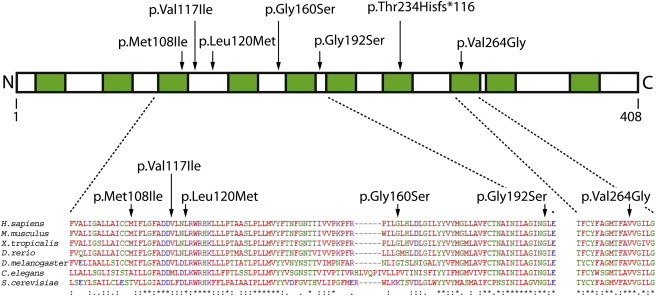 Figure 2