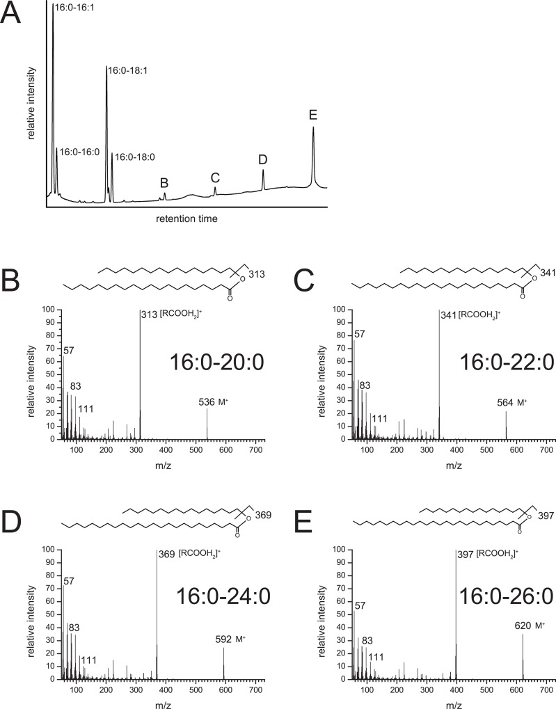 Fig 5