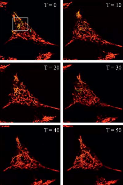 Figure 16.2