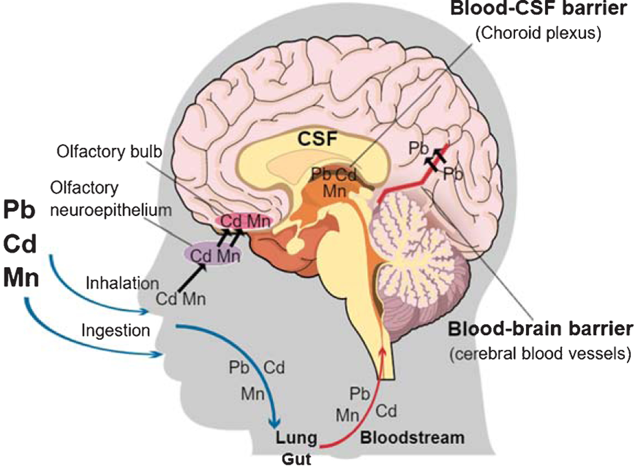 Fig. 2.