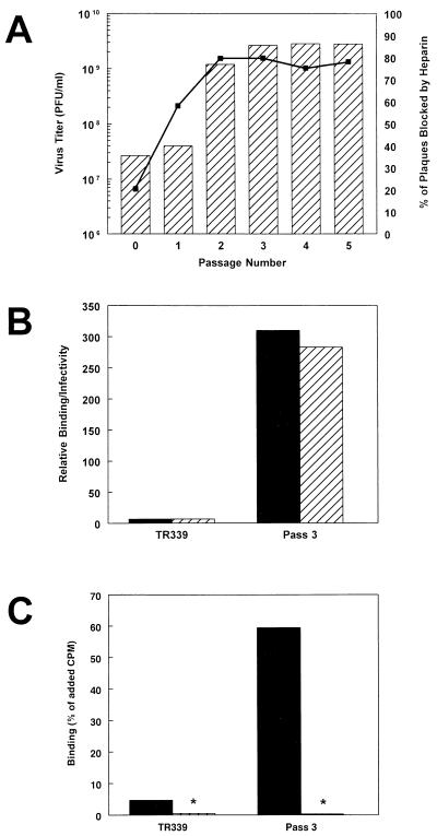 FIG. 7